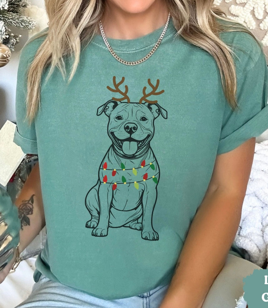 Pit Bull Lights Shirt