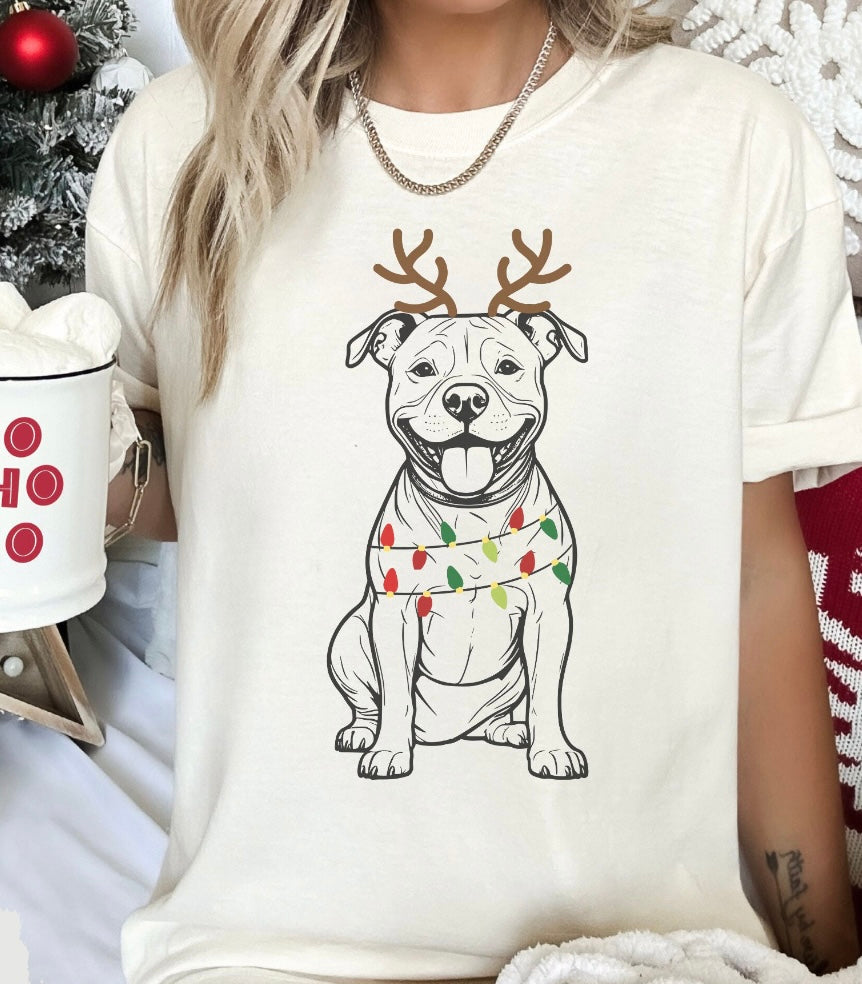 Pit Bull Lights Shirt