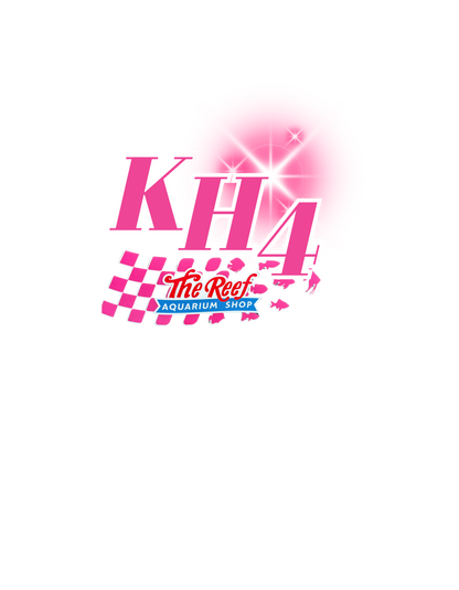 ***YOUTH*** Kristen Hammer Shirts
